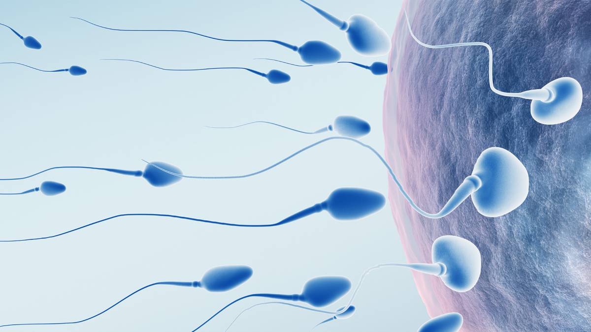 3 alimentos provocan mayor tasa de infertilidad en los hombres - AS.com