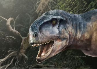El asterioide que puso fin a los dinosaurios también dio origen a la selva  amazónica 
