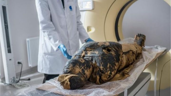 madera Siesta Hassy Hallan la primera momia egipcia embarazada - AS.com