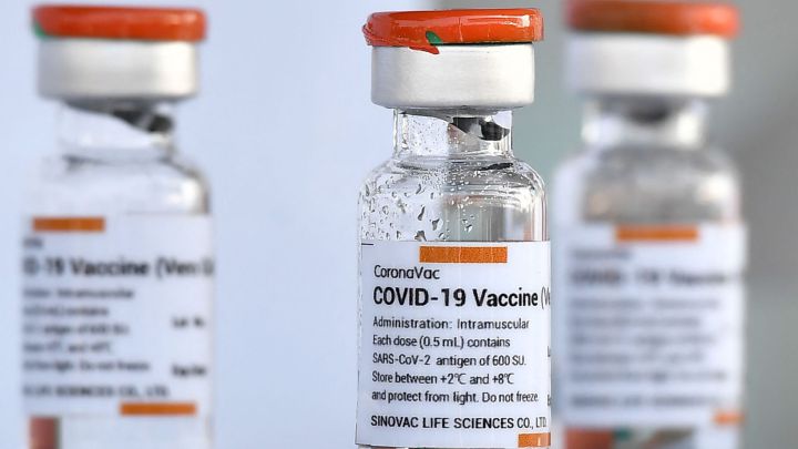 Vacuna Sinovac En Ecuador Efectividad Precios Dosis Y Posibles Efectos Secundarios As Com
