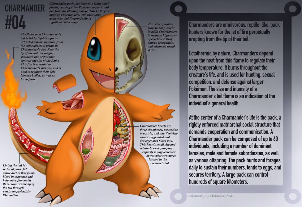 Pokémon: un artista diseña a Pikachu con todos los tipos que existen y es  una bestialidad