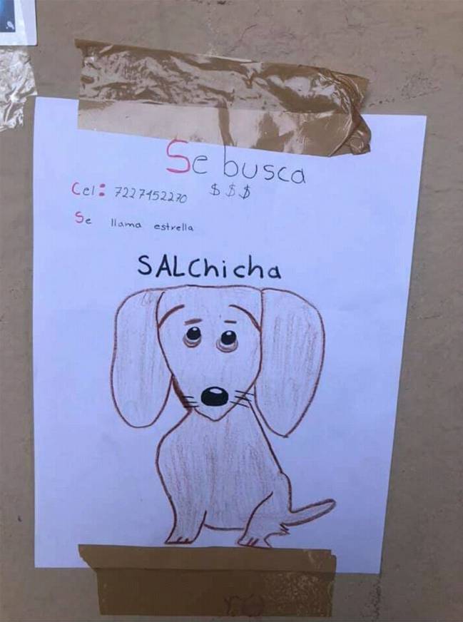 Un niño busca a su mascota con este dibujo hecho por él mismo porque no  tiene fotos 
