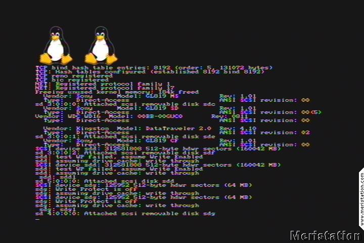 Como Correr Roblox En Linux