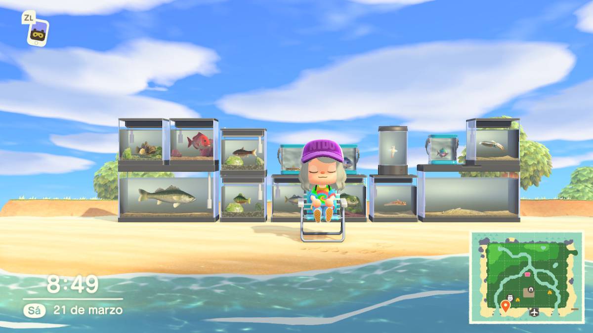 Todos Los Peces En Animal Crossing New Horizons Precio Donde Y Cuando Encontrarlos Meristation