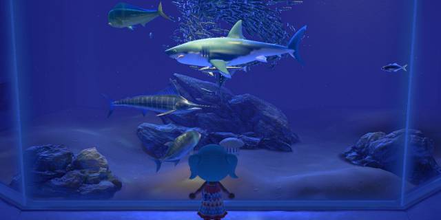 Peces Disponibles En Junio De En Animal Crossing New Horizons Meristation