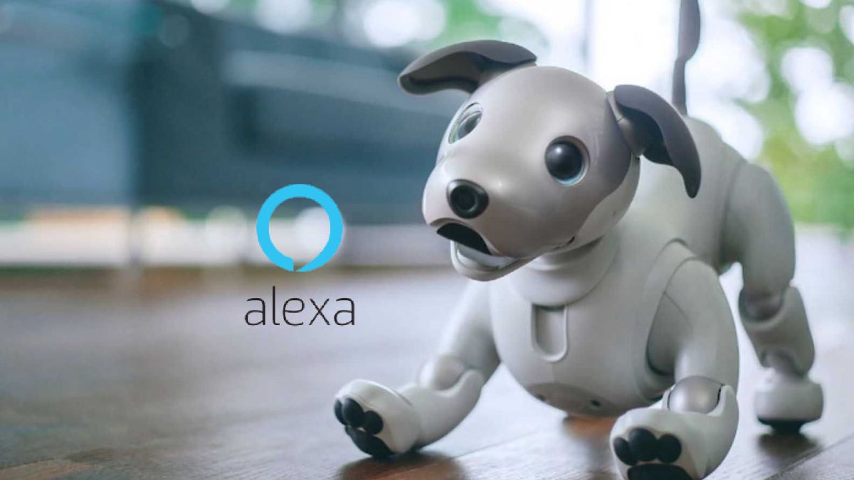 Cómo hacer que un Amazon Echo ladre como un perro Alexa Guard