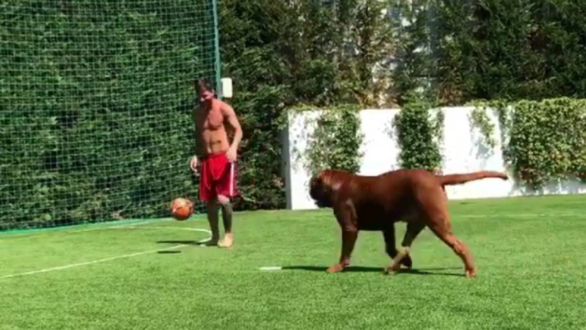 Messi Se Relaja Jugando Al Futbol Con Su Perro Y Su Hijo Alucina