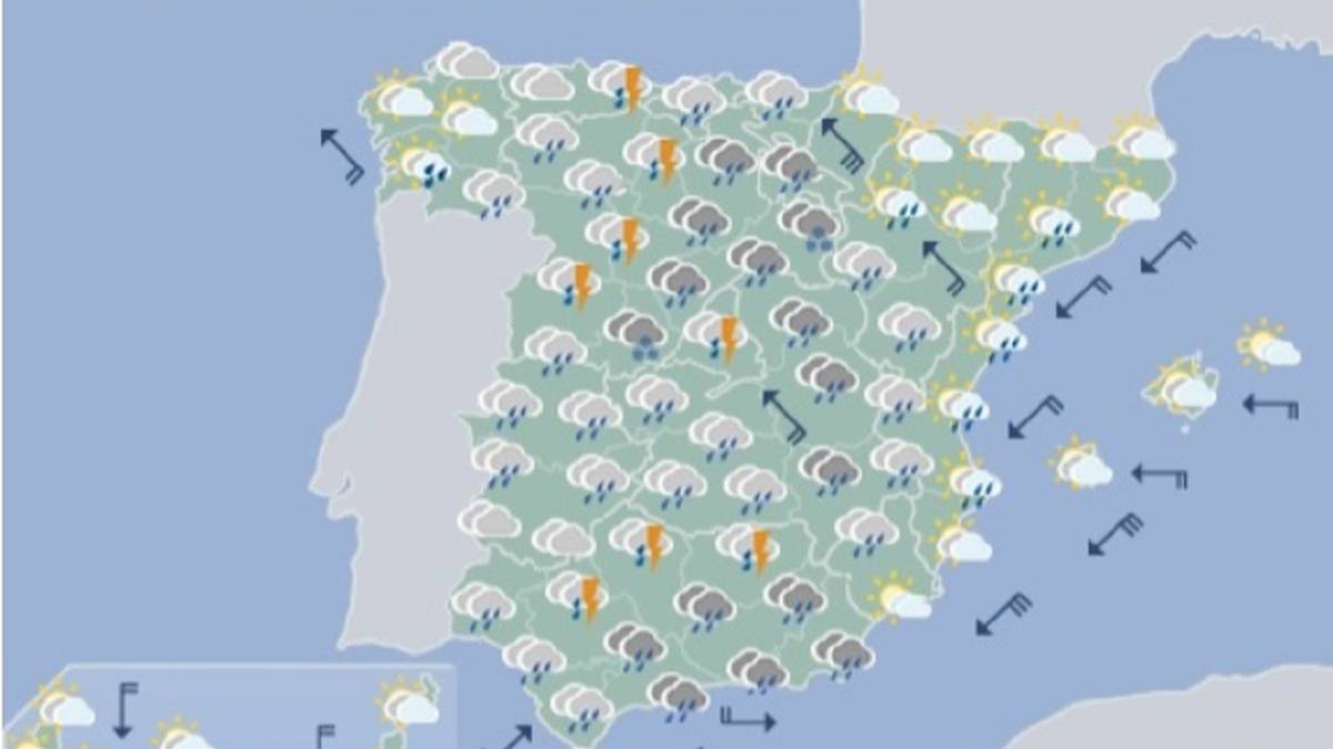 botines predator azules