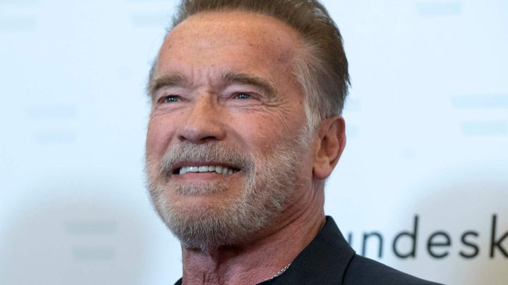 Arnold Schwarzenegger protagonizará su primera serie para Netflix